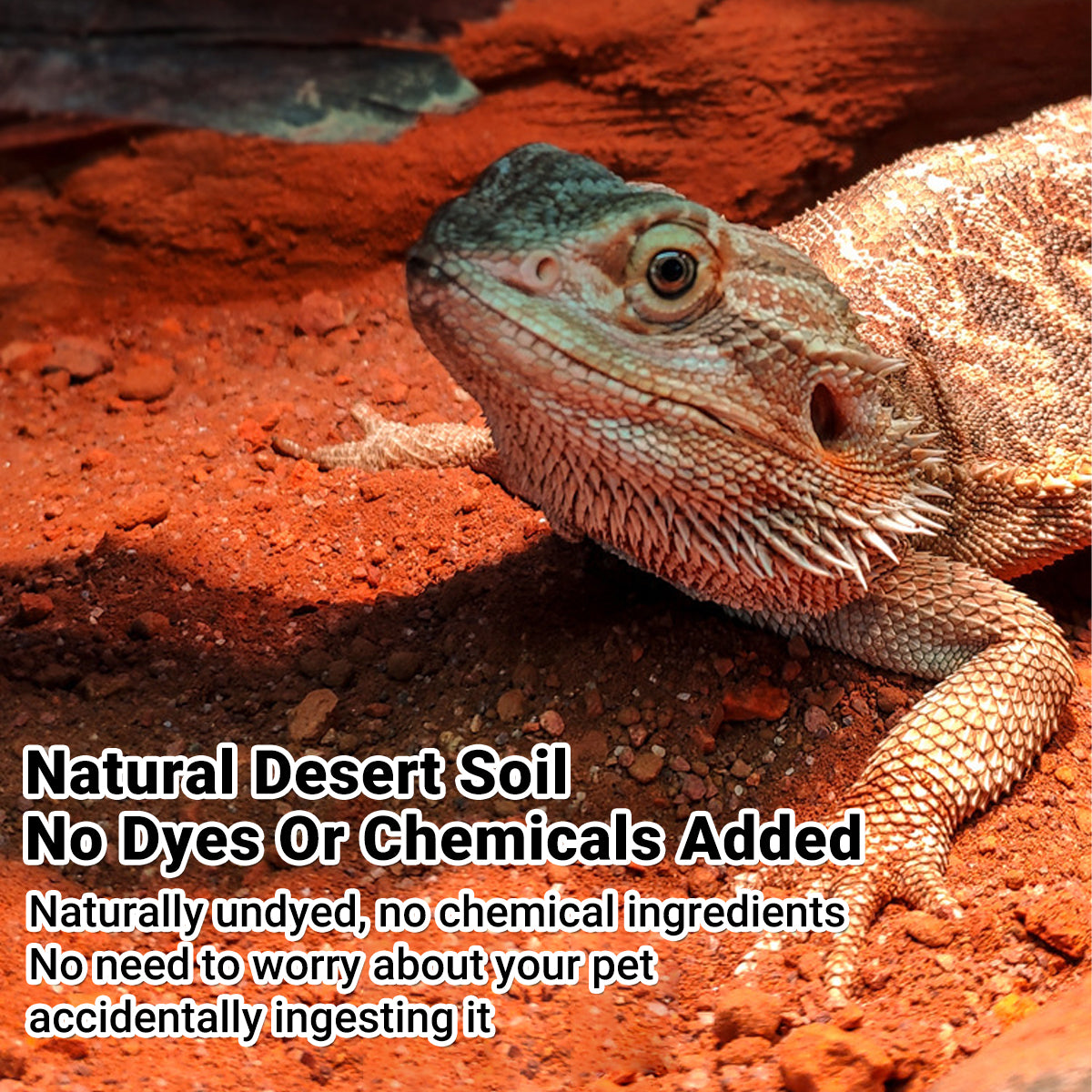 Natural Desert Reptile Sand Bedding 1kg | Heat-Conductive Substrate