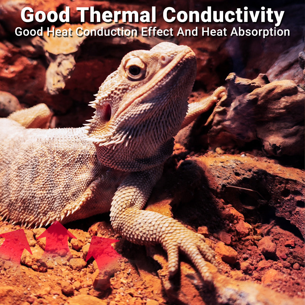 Natural Desert Reptile Sand Bedding 1kg | Heat-Conductive Substrate