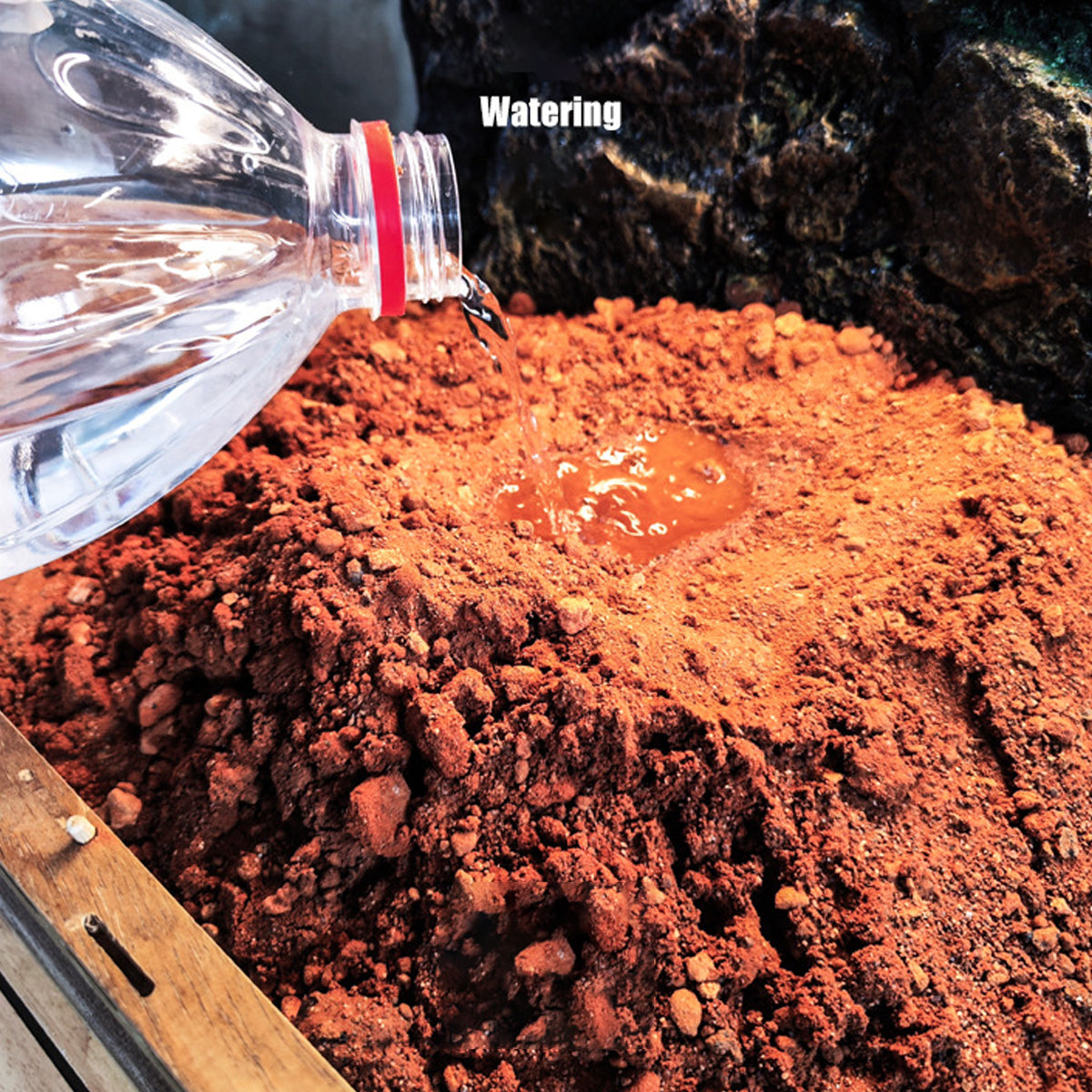 Natural Desert Reptile Sand Bedding 1kg | Heat-Conductive Substrate
