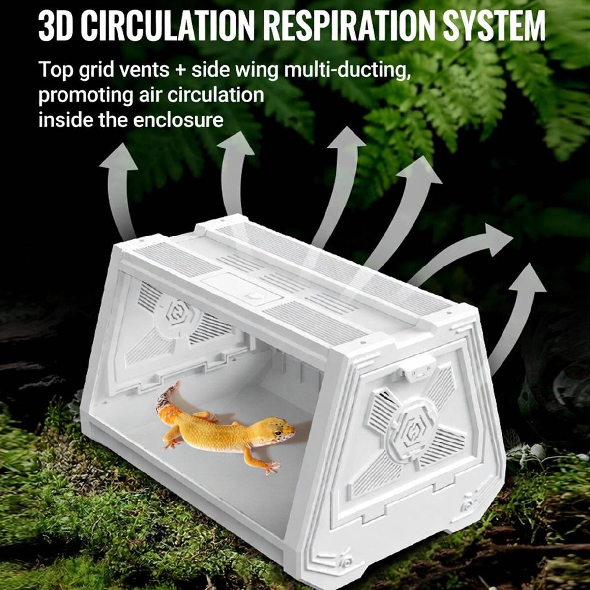 Reptile Habitat Tank With Ventilation And Feeding Port