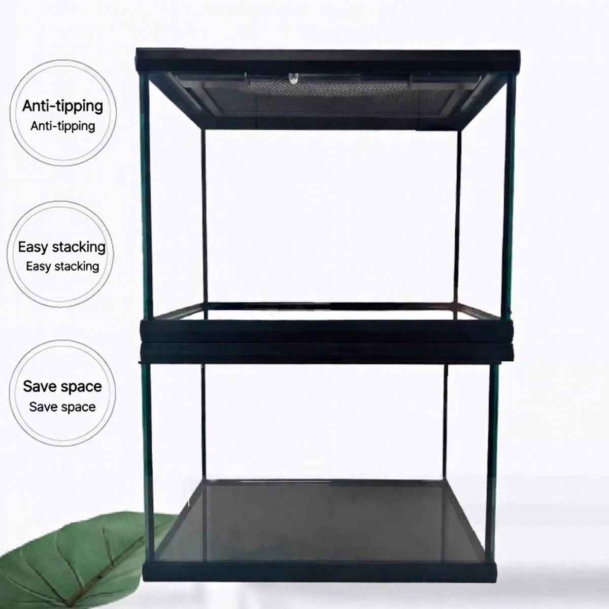 Mini Reptile Terrarium Tank 20cm Glass Enclosure