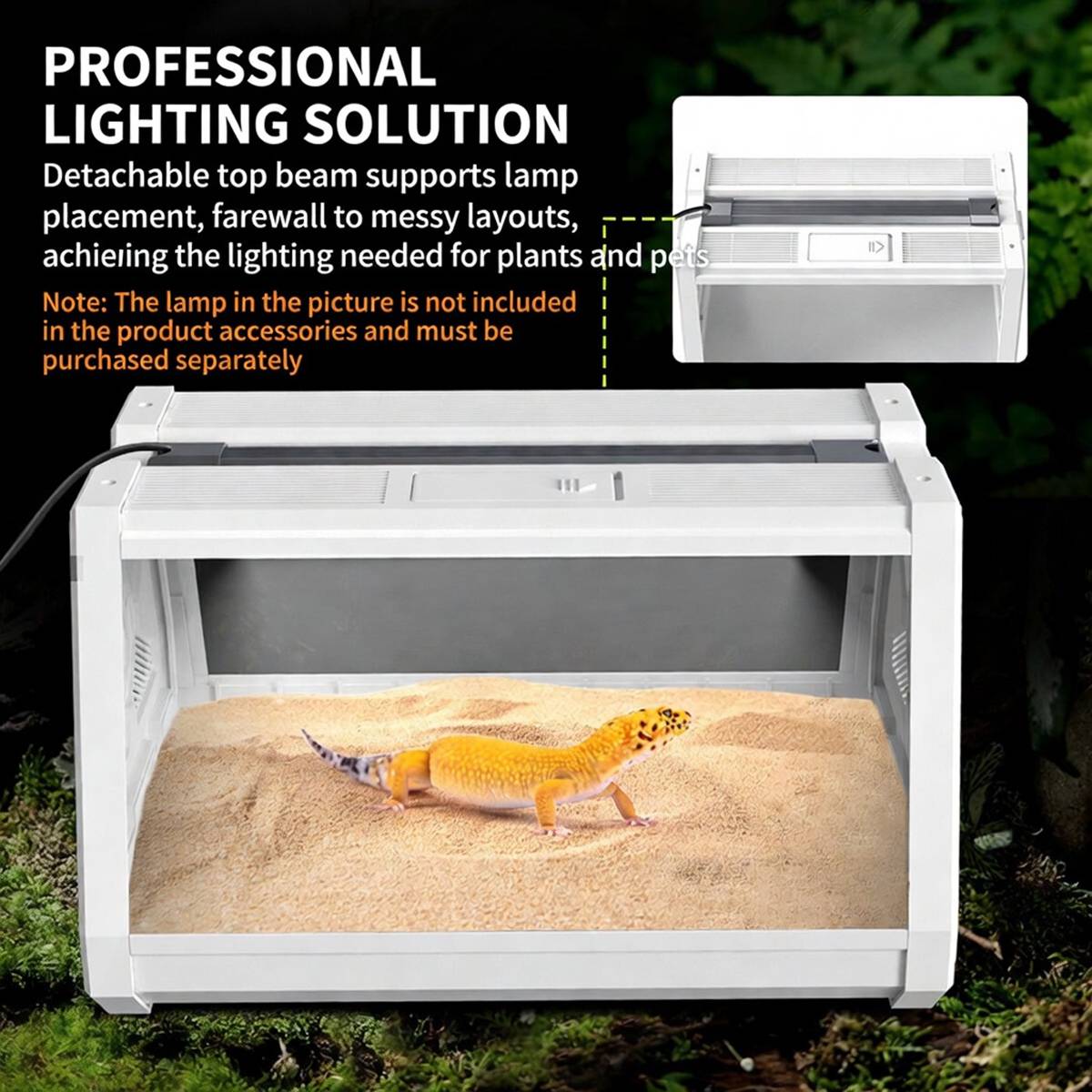 Reptile Habitat Tank With Ventilation And Feeding Port
