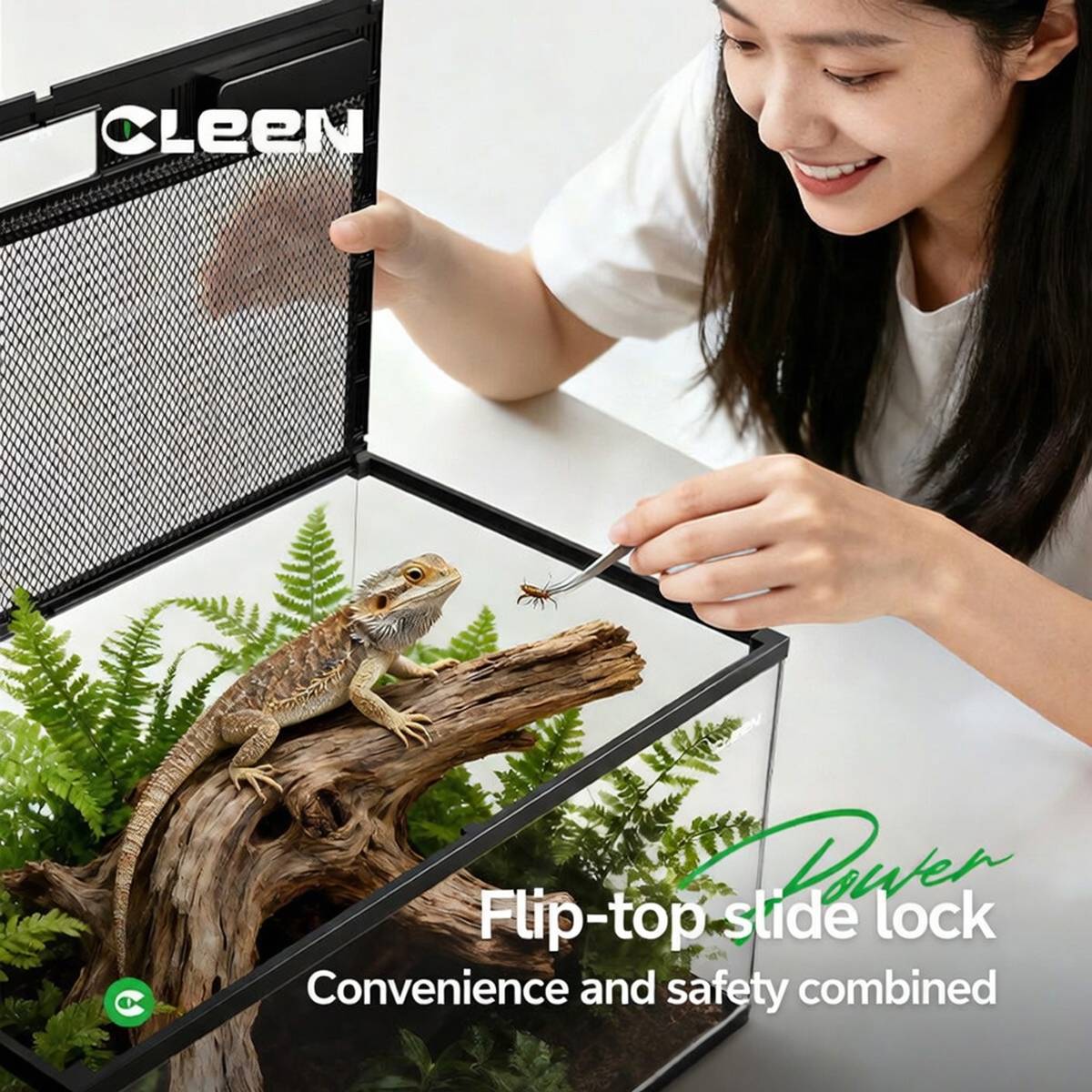 Mini Reptile Terrarium Tank 20cm Glass Enclosure