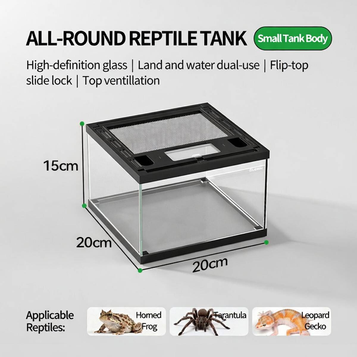 Mini Reptile Terrarium Tank 20cm Glass Enclosure