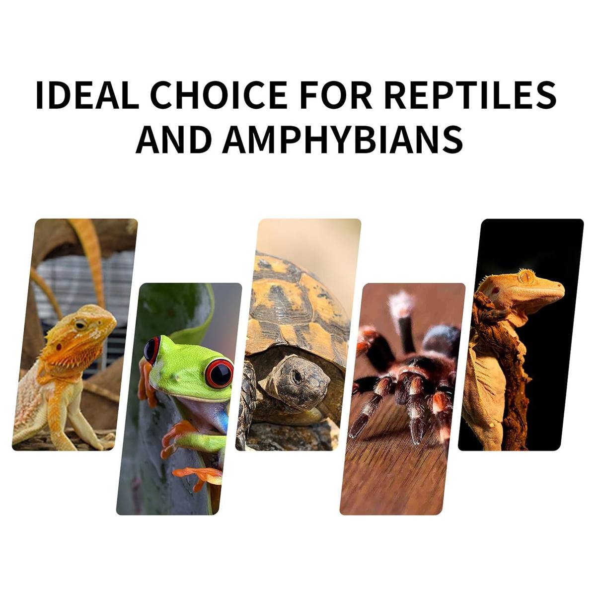 Reptile Terrarium Glass Tank 30x30x45cm