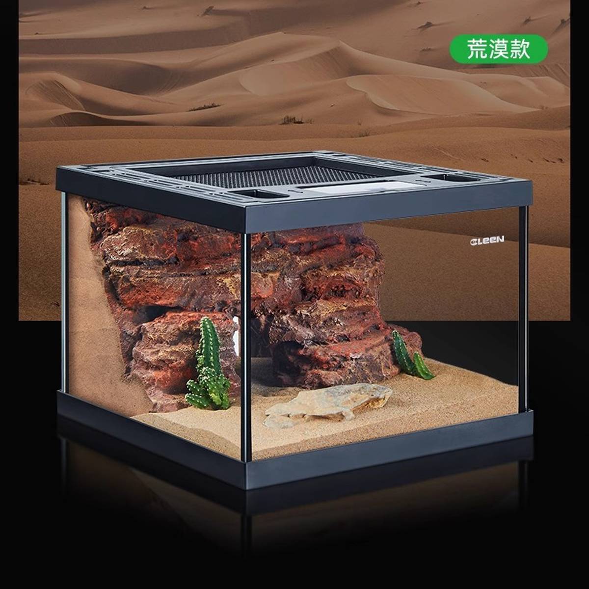 Mini Reptile Terrarium Tank 20cm Glass Enclosure