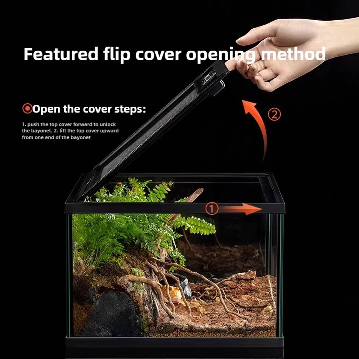 Mini Reptile Terrarium Tank 20cm Glass Enclosure