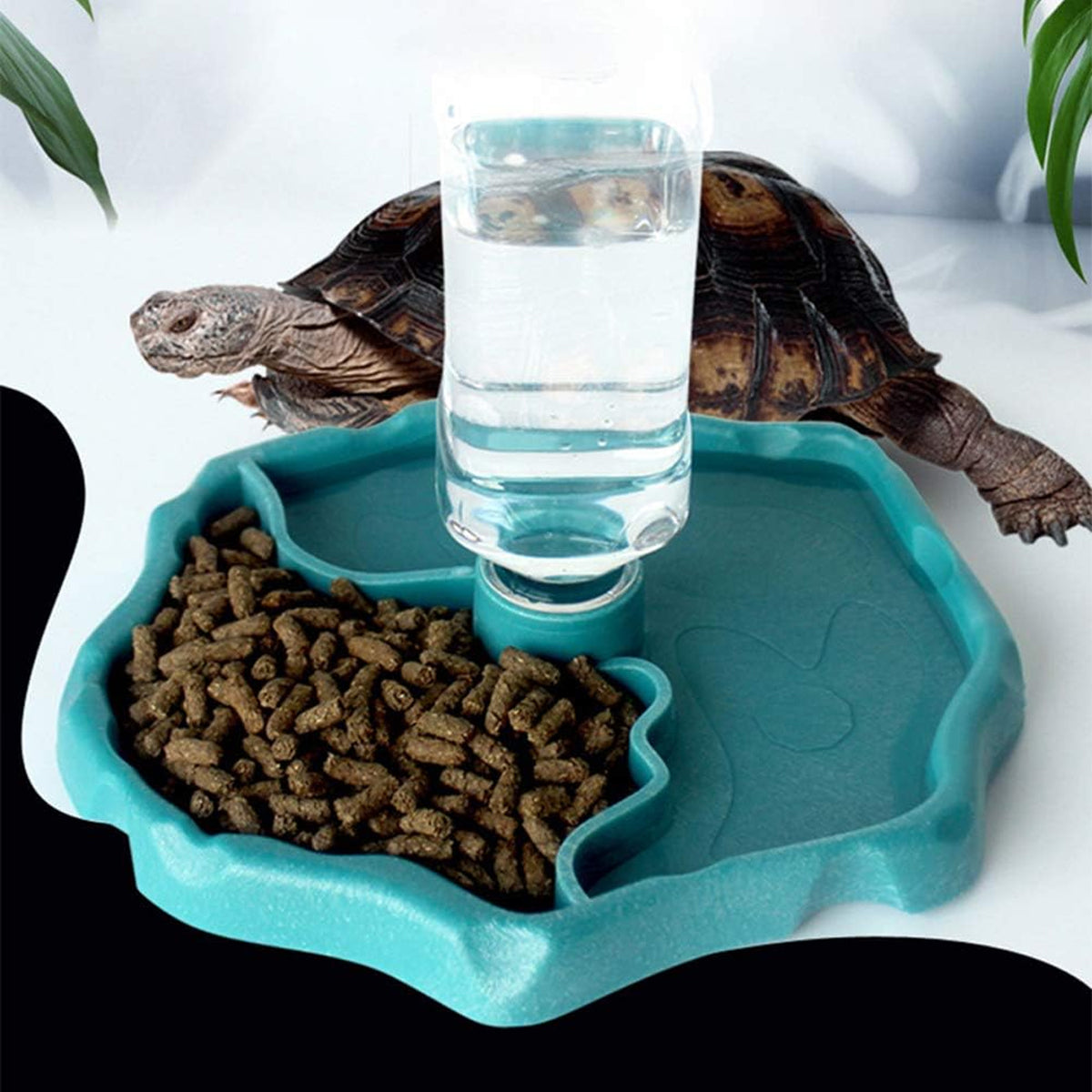 2in1 Dual-Purpose Reptile Feeder Water Bowl