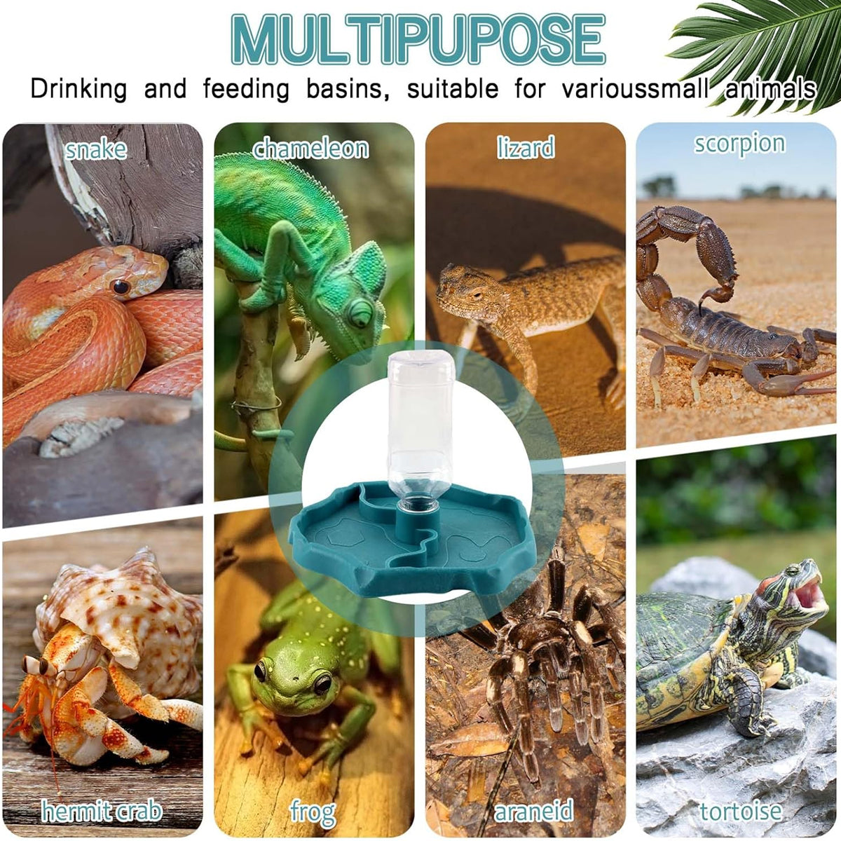 2in1 Dual-Purpose Reptile Feeder Water Bowl