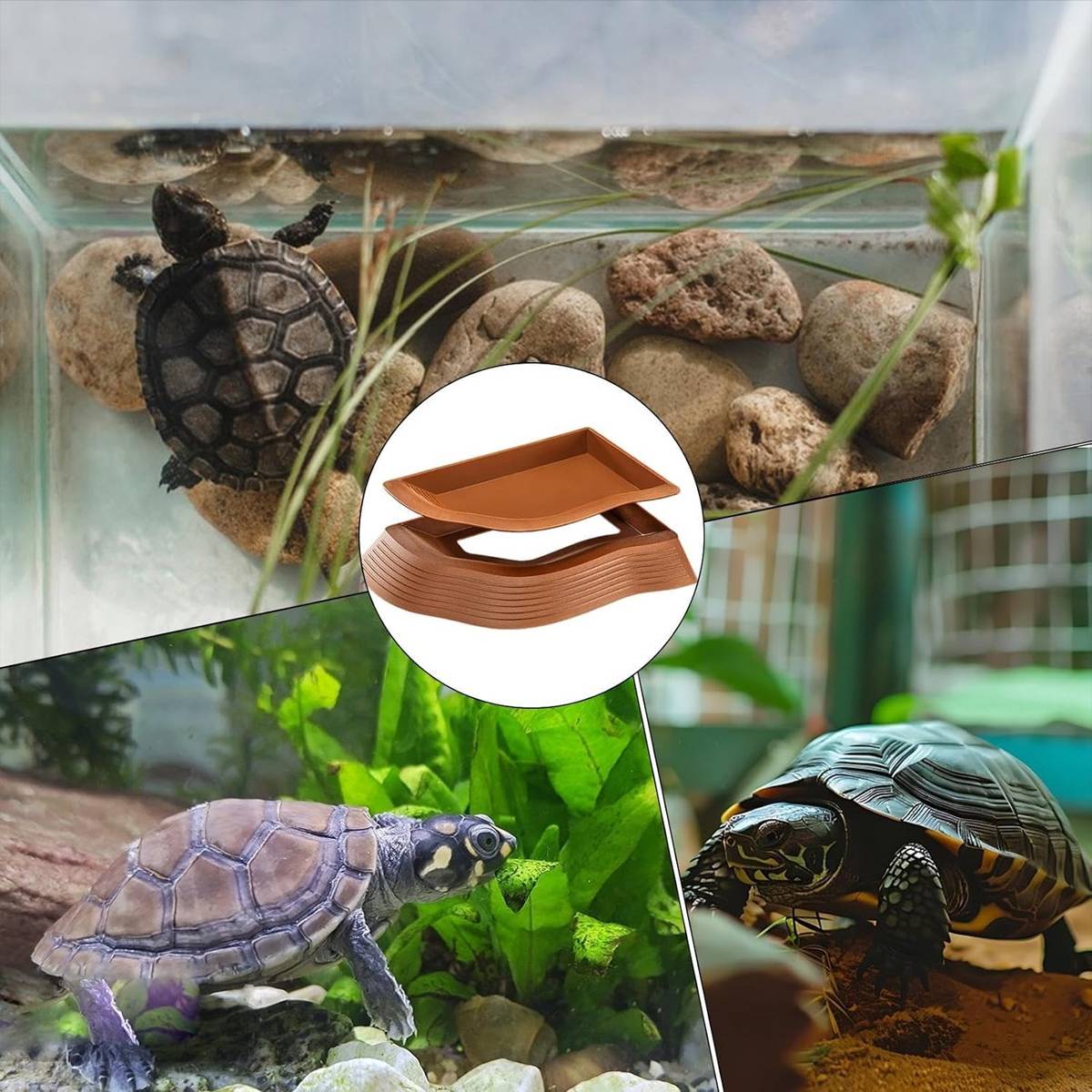 Reptile Water Dish With Ramp For Turtles