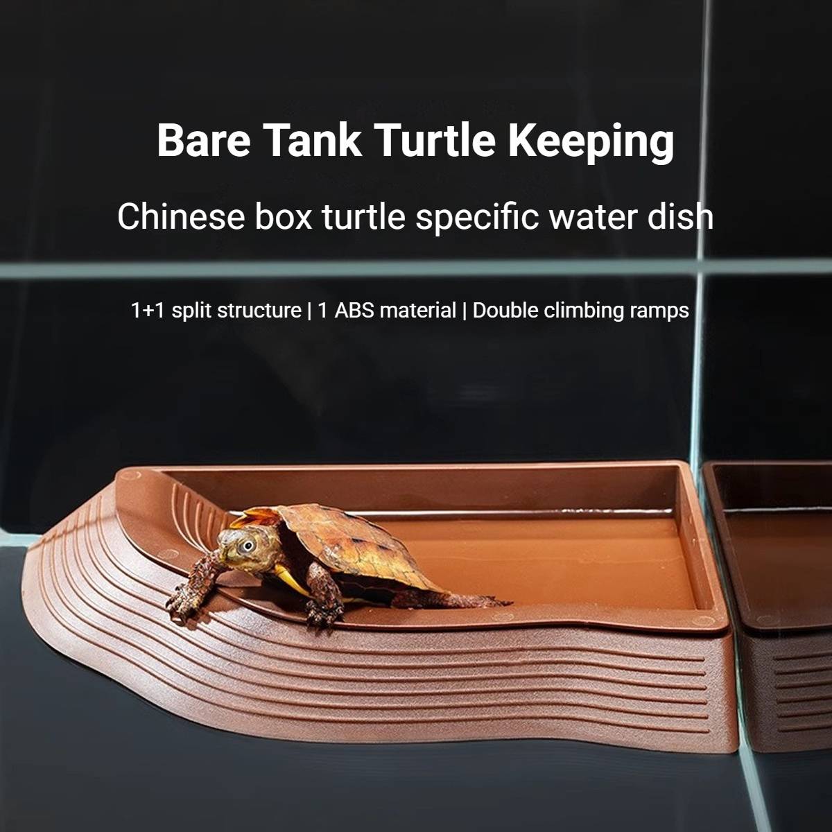 Reptile Water Dish With Ramp For Turtles