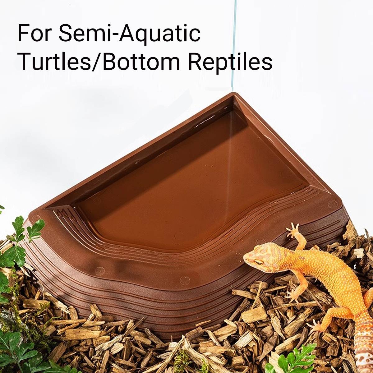 Reptile Water Dish With Ramp For Turtles