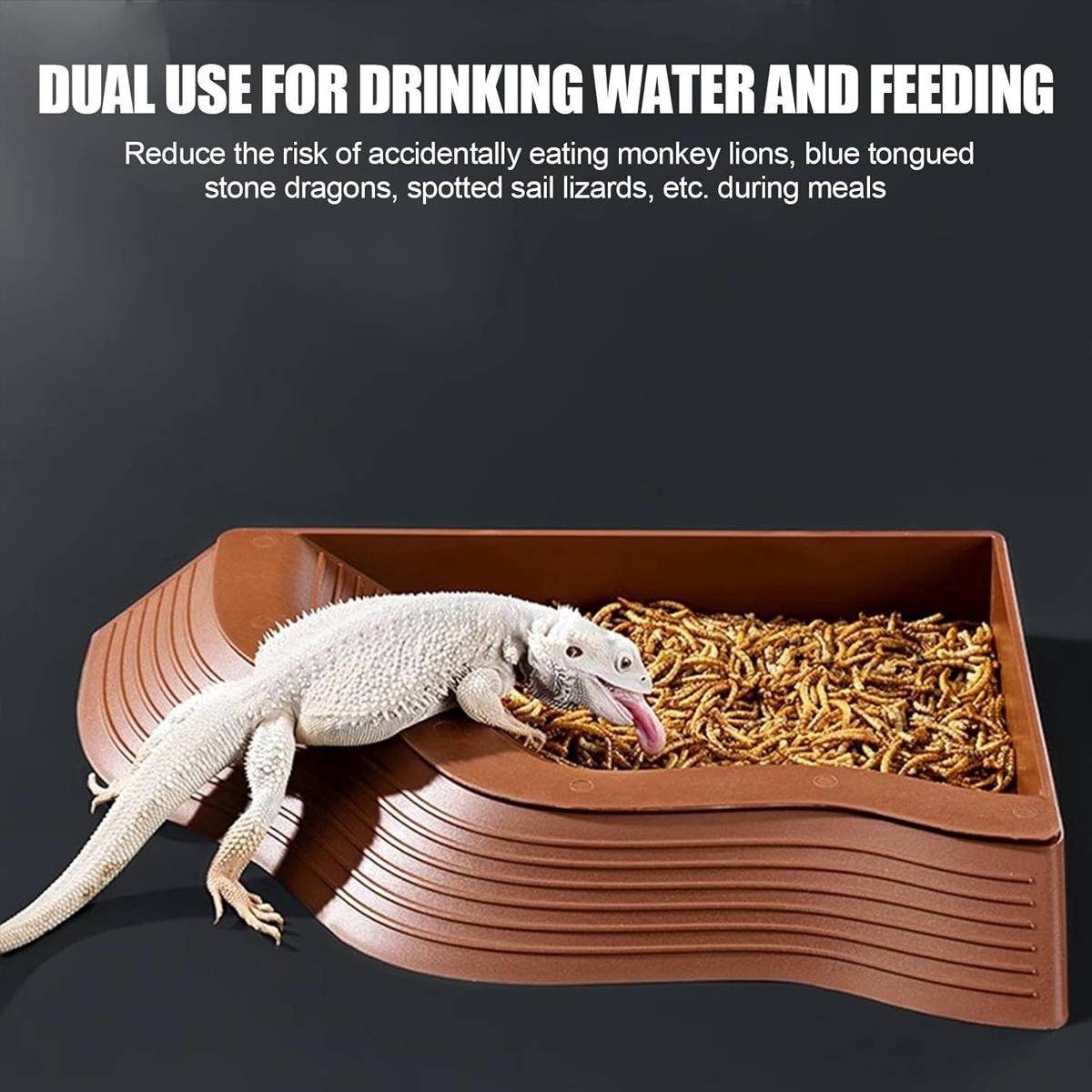 Reptile Water Dish With Ramp For Turtles