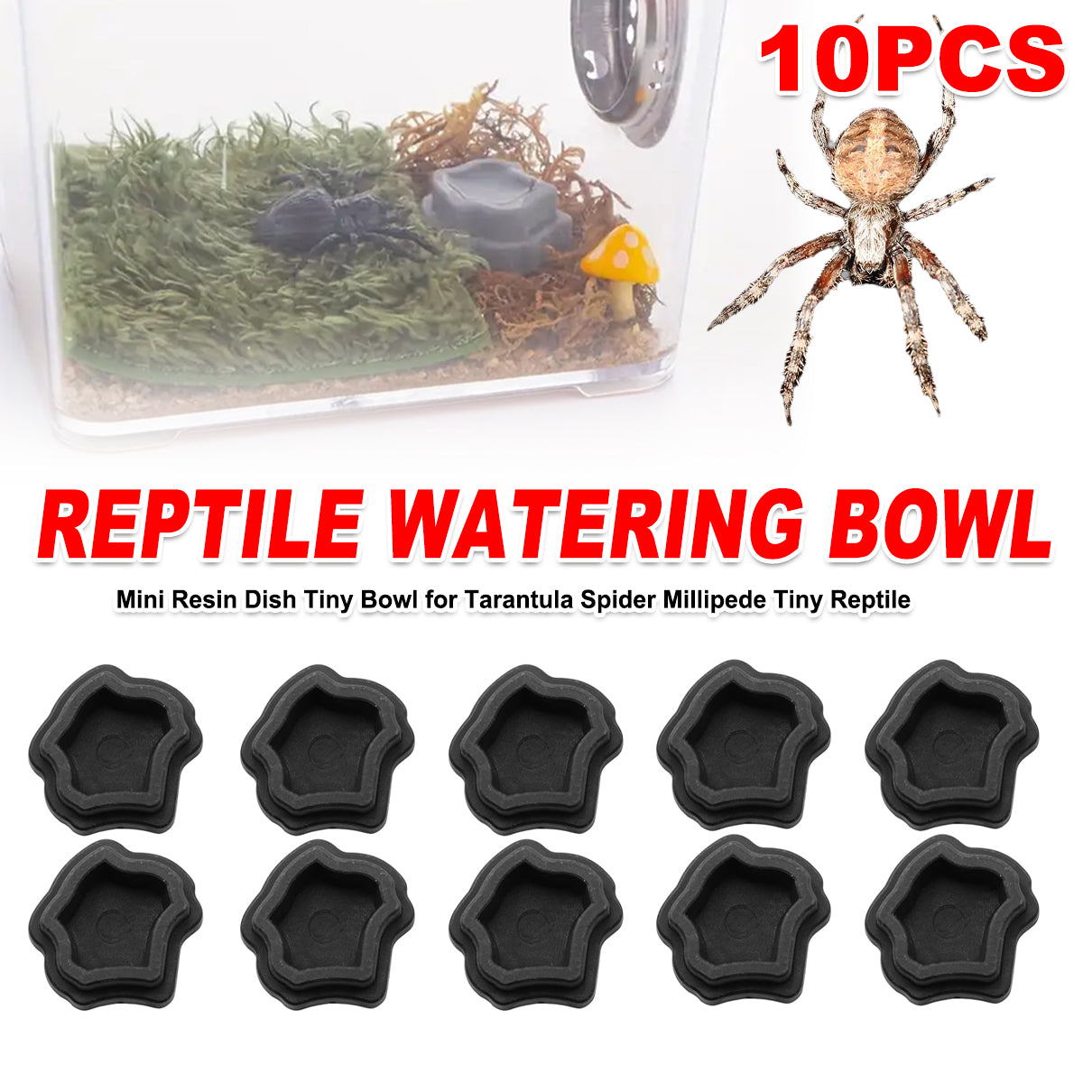 10pcs Mini Resin Reptile Bowls
