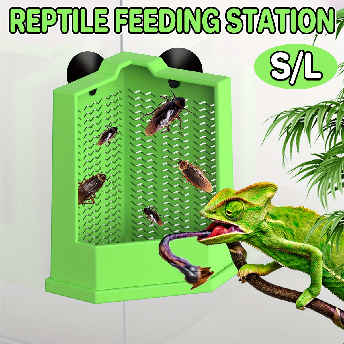 Predator Dish For Reptile Feeding