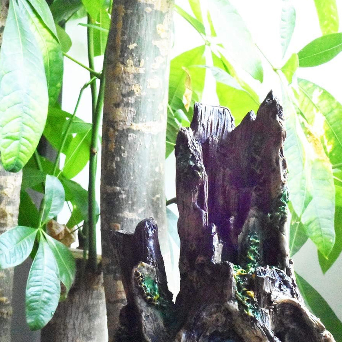 Resin Wood Aquarium Decoration Ornament