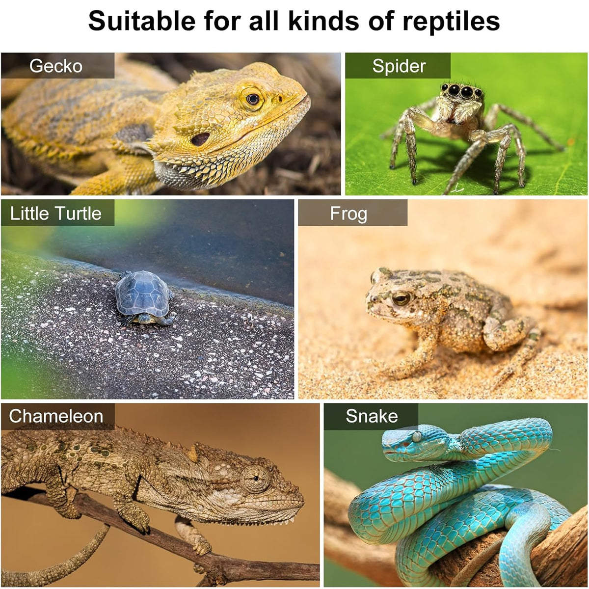 Resin Reptile Climbing Tree Ornament For Lizards And Terrariums