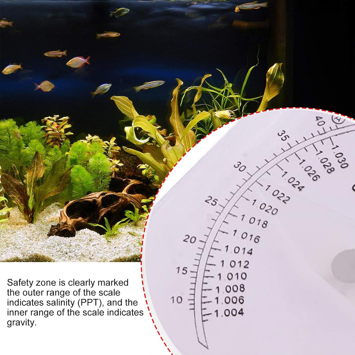 Seawater Salinity Hydrometer Aquarium Specific Gravity Tester