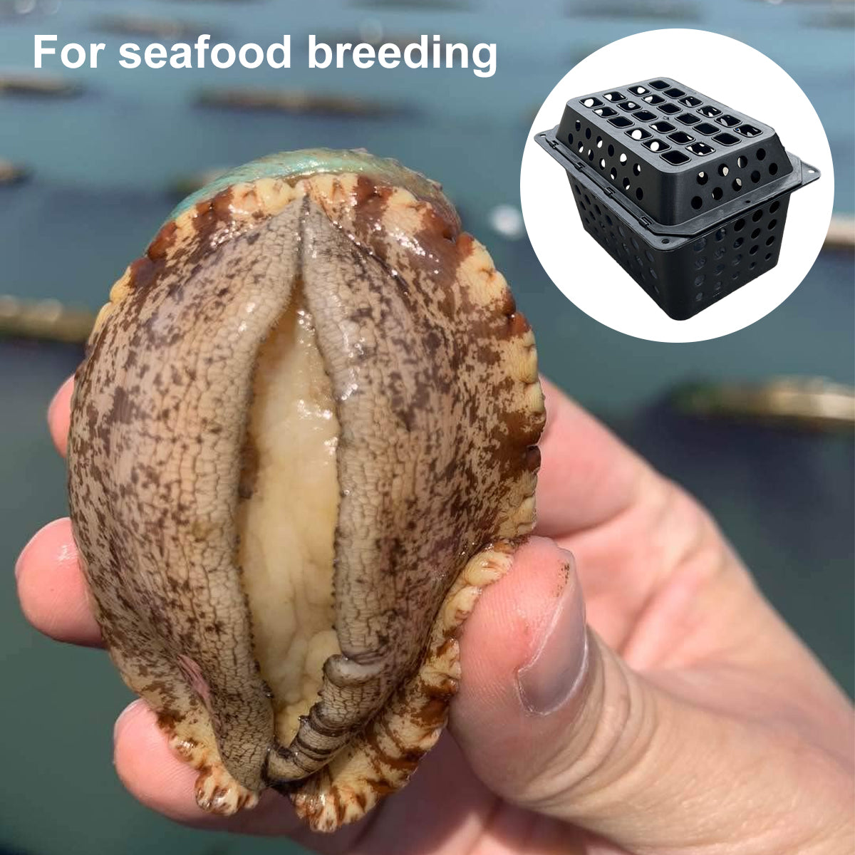 Large Aquaculture Breeding Cage For Crabs And Seafood