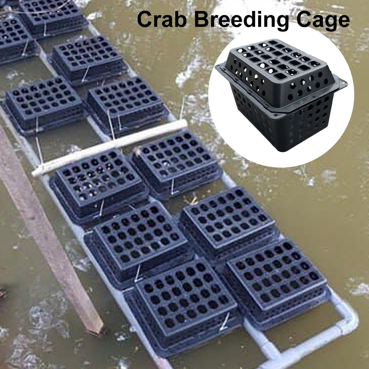 Large Aquaculture Breeding Cage For Crabs And Seafood