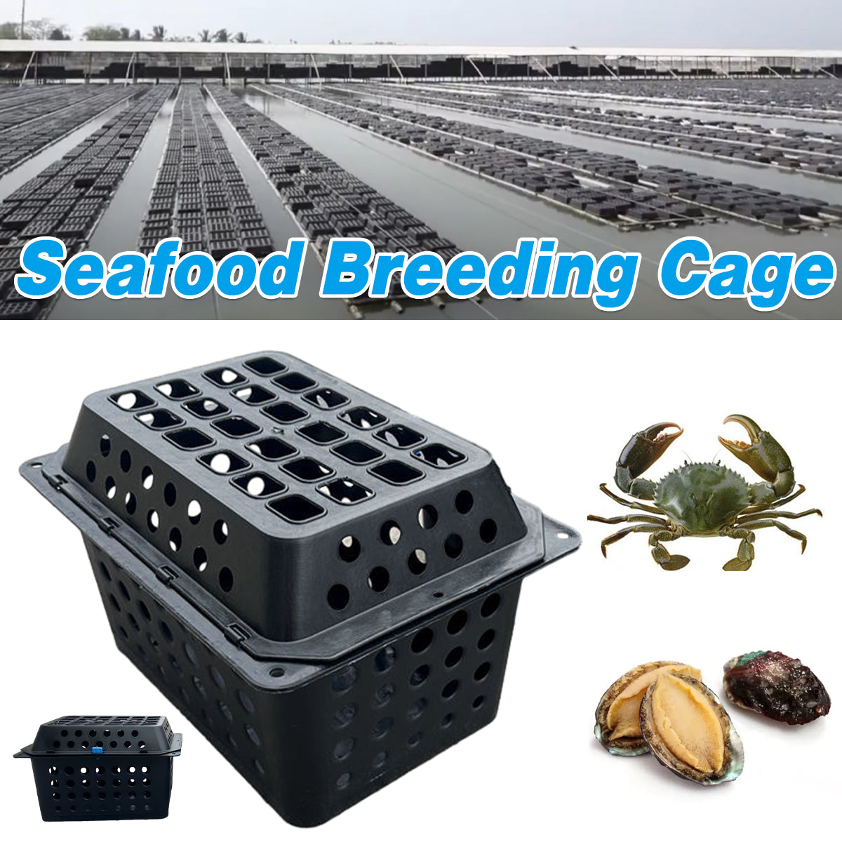 Large Aquaculture Breeding Cage For Crabs And Seafood