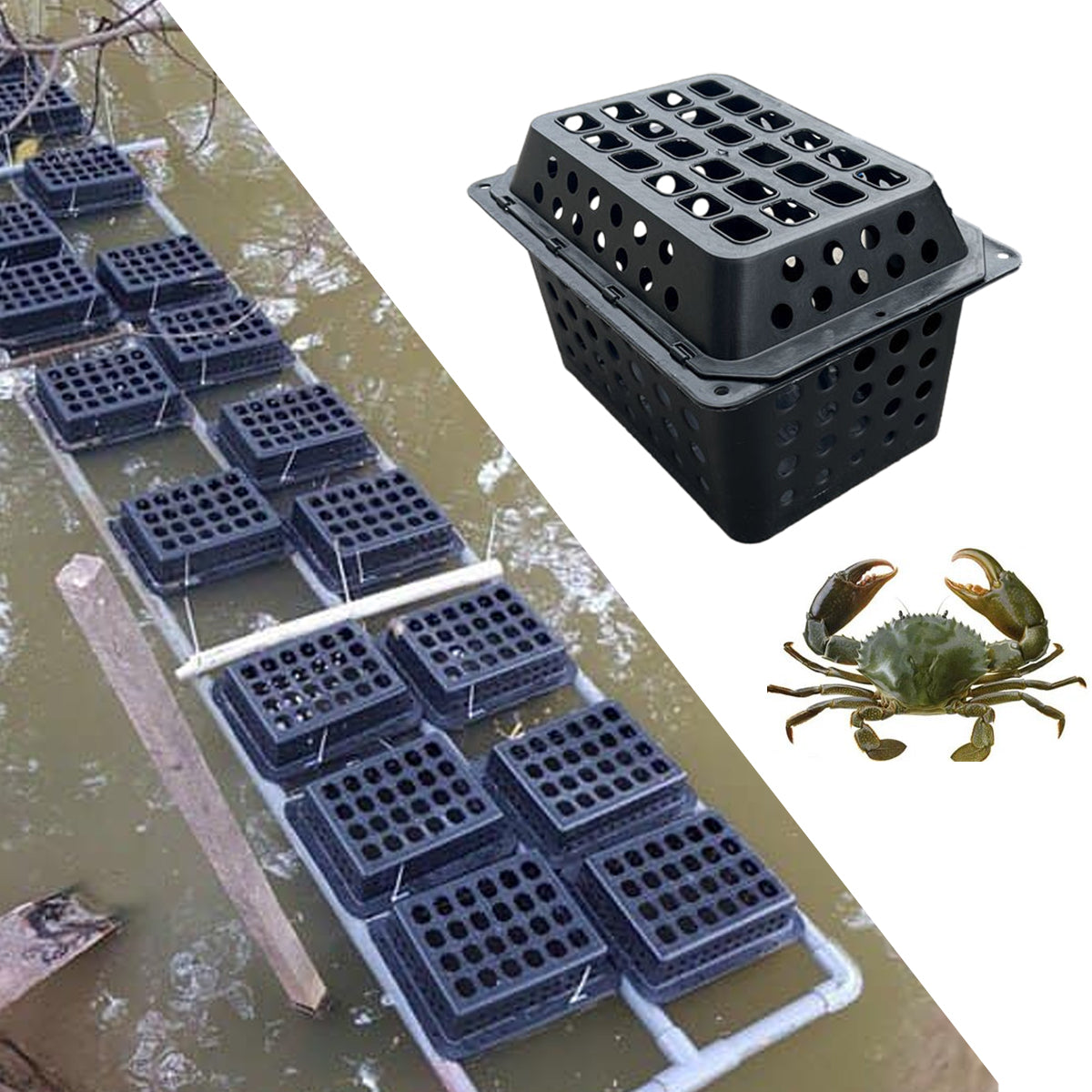 Large Aquaculture Breeding Cage For Crabs And Seafood