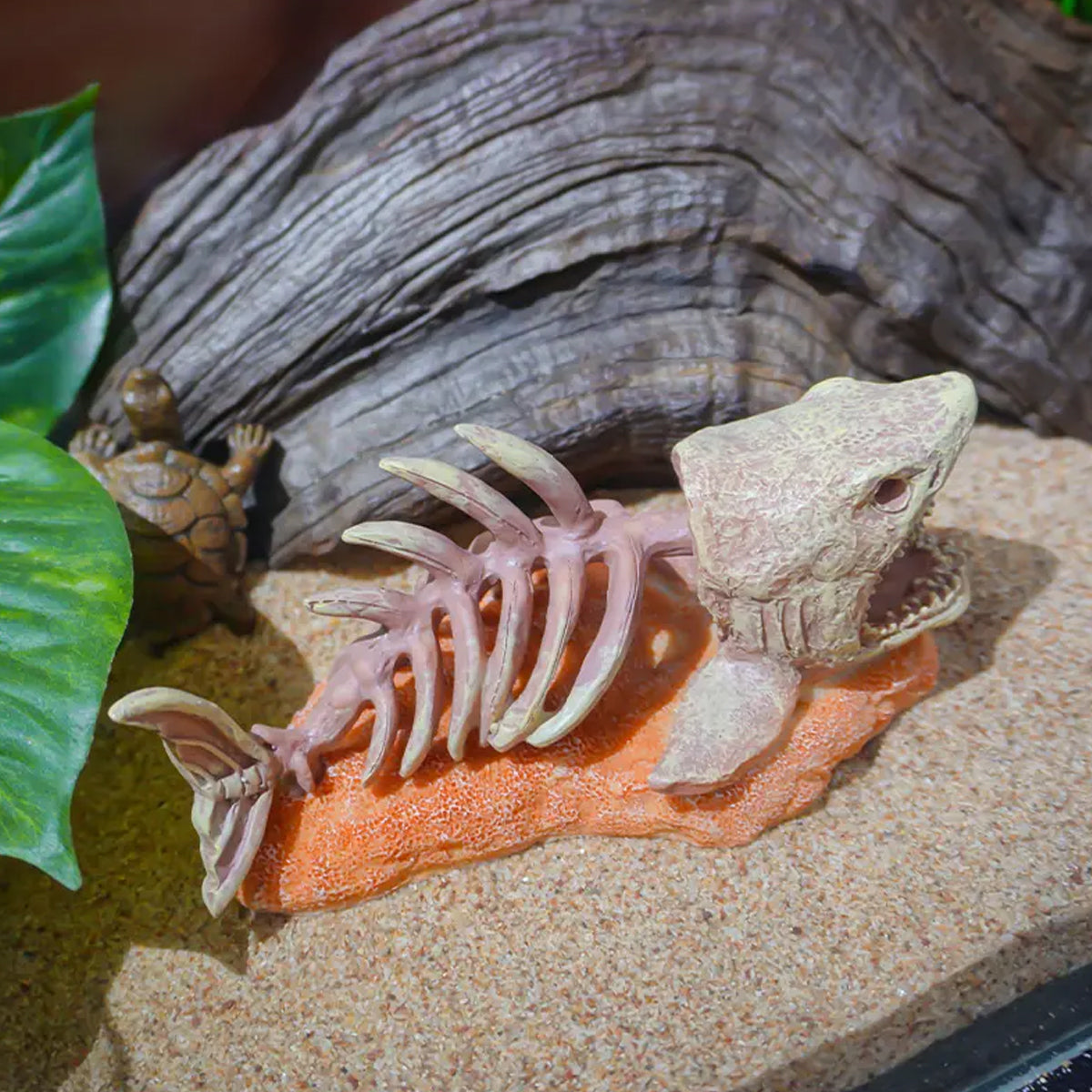 Resin Shark Skeleton Aquarium Ornament