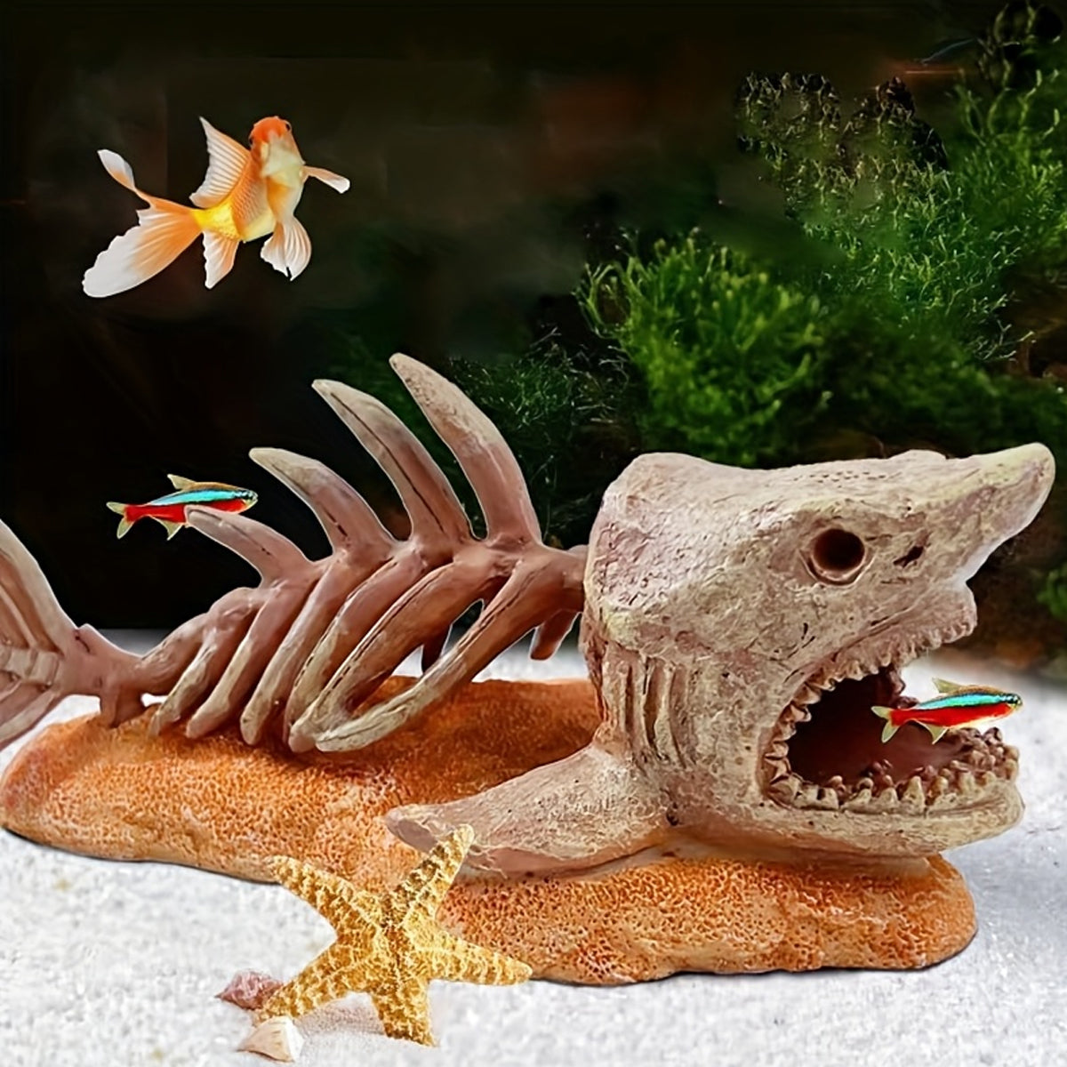 Resin Shark Skeleton Aquarium Ornament