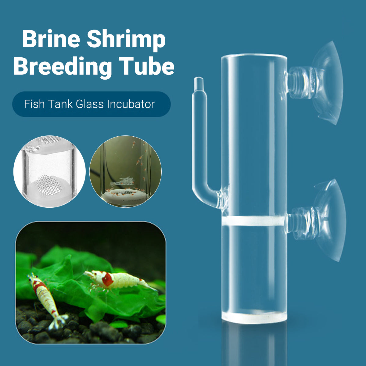 Glass Shrimp Egg Incubator with Regulating Valve for Aquariums