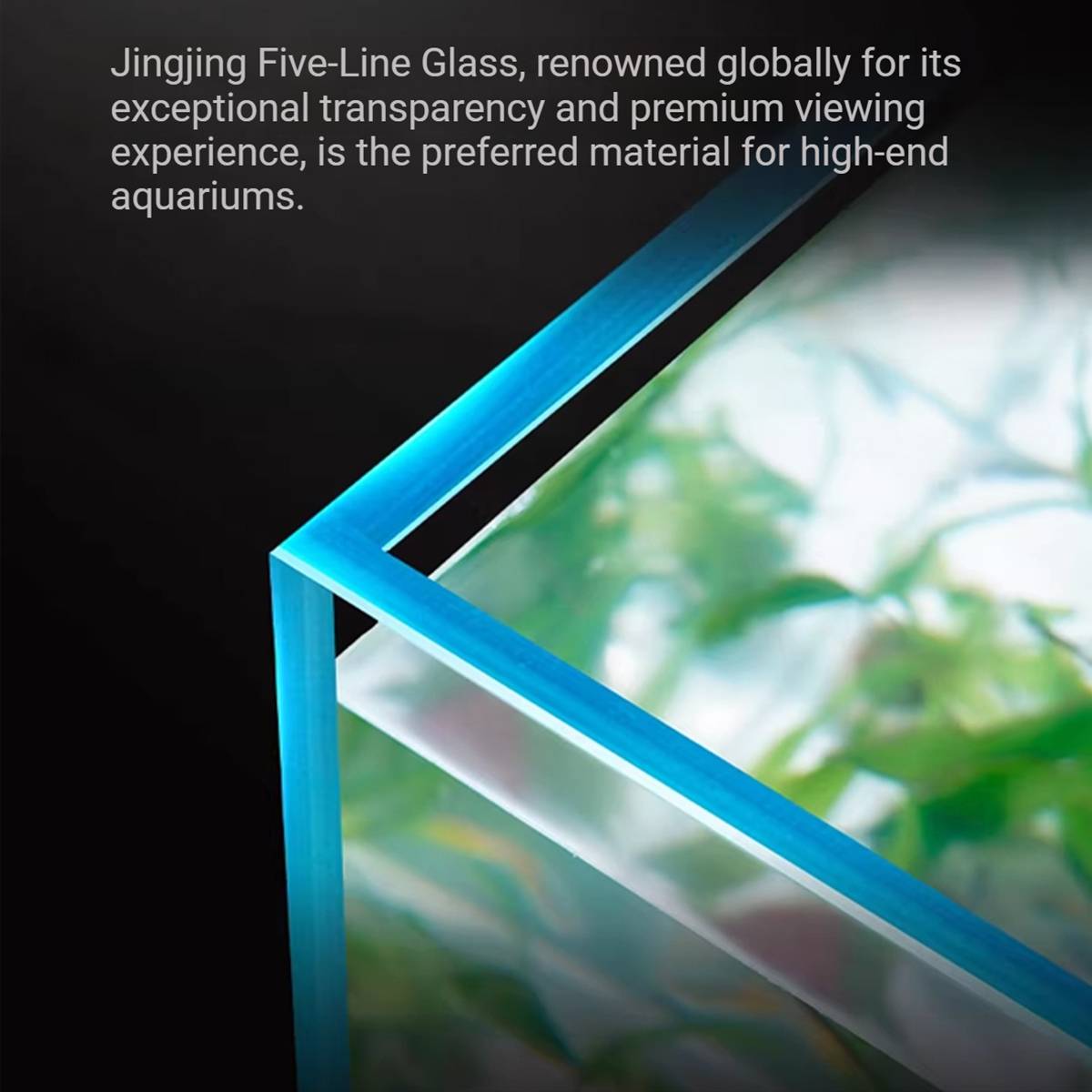 Side Filtered Fish Tank 50cm Aquarium