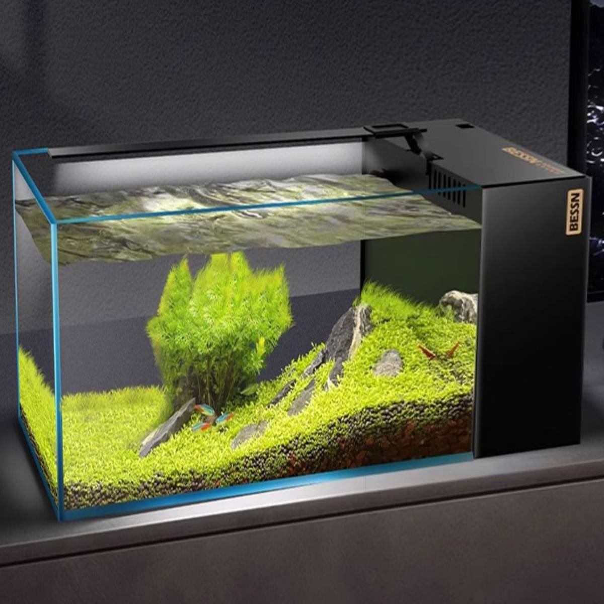 Side Filtered Fish Tank 50cm Aquarium
