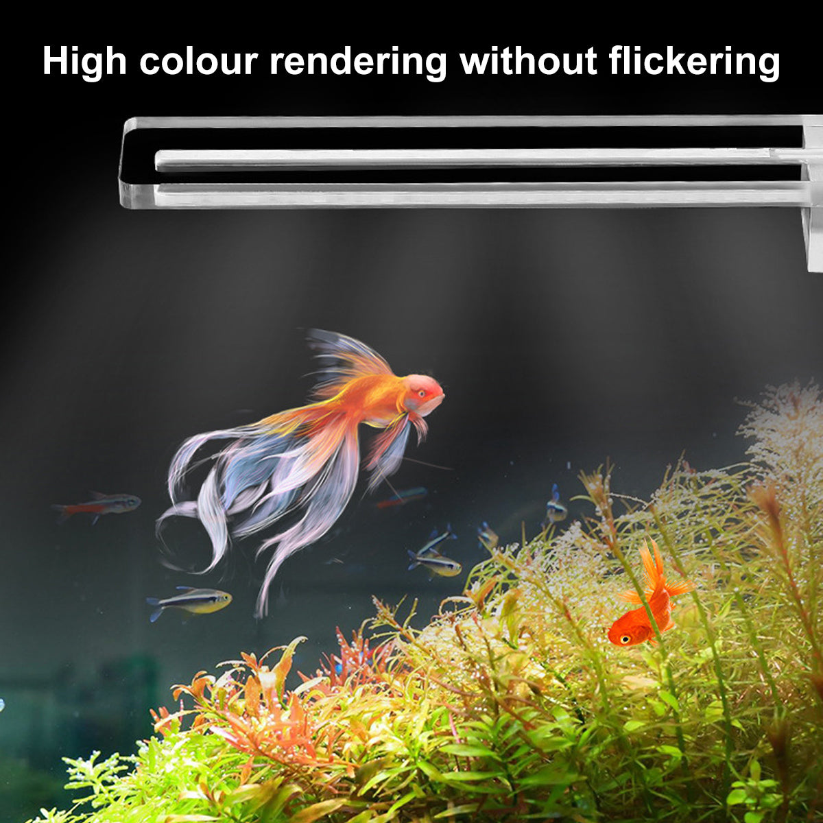 Simple LED Fish Tank Light Clamp Small Aquarium Lamp Lighting for Fish Tanks