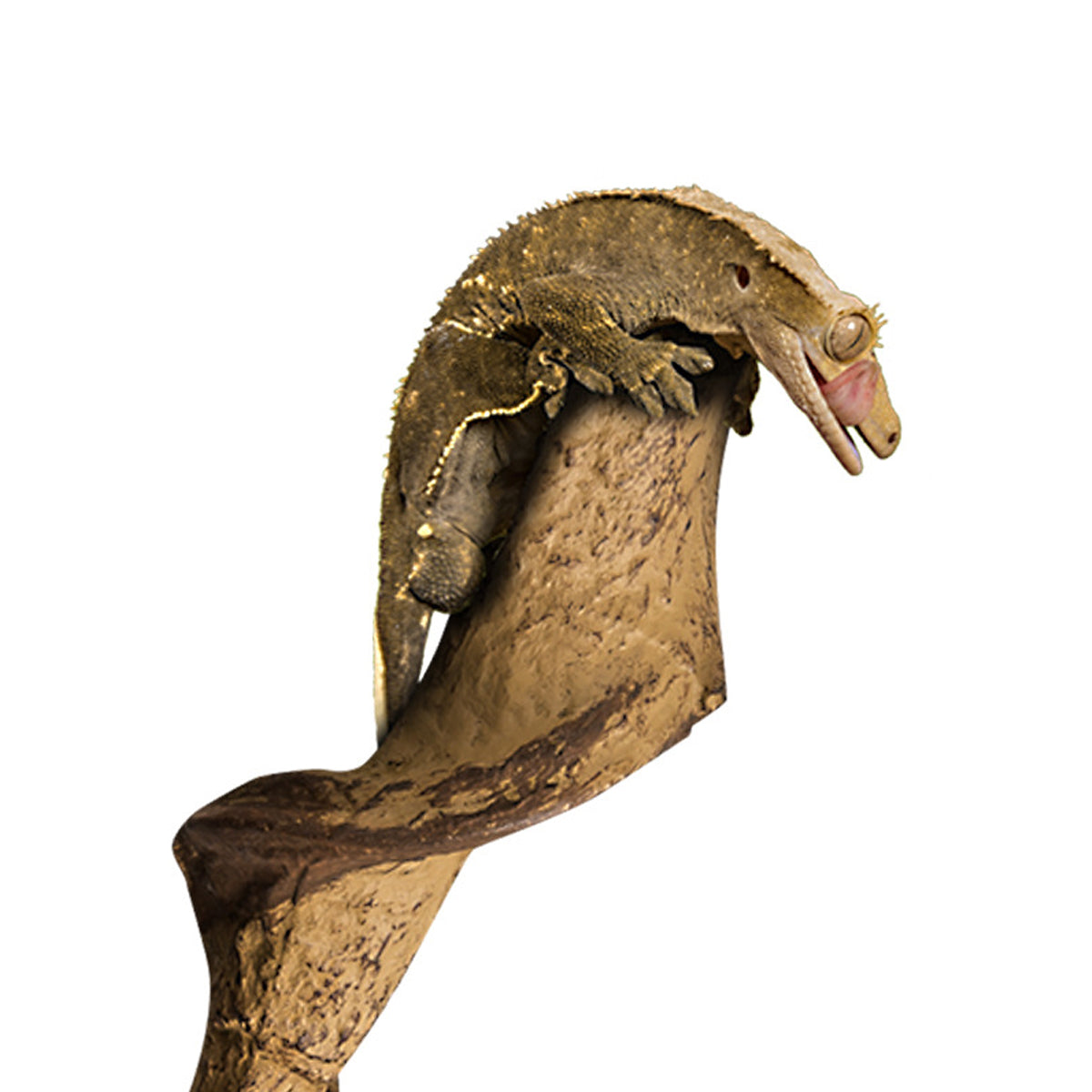 Reptile Climbing Vine Flexible Jungle Branch For Terrariums