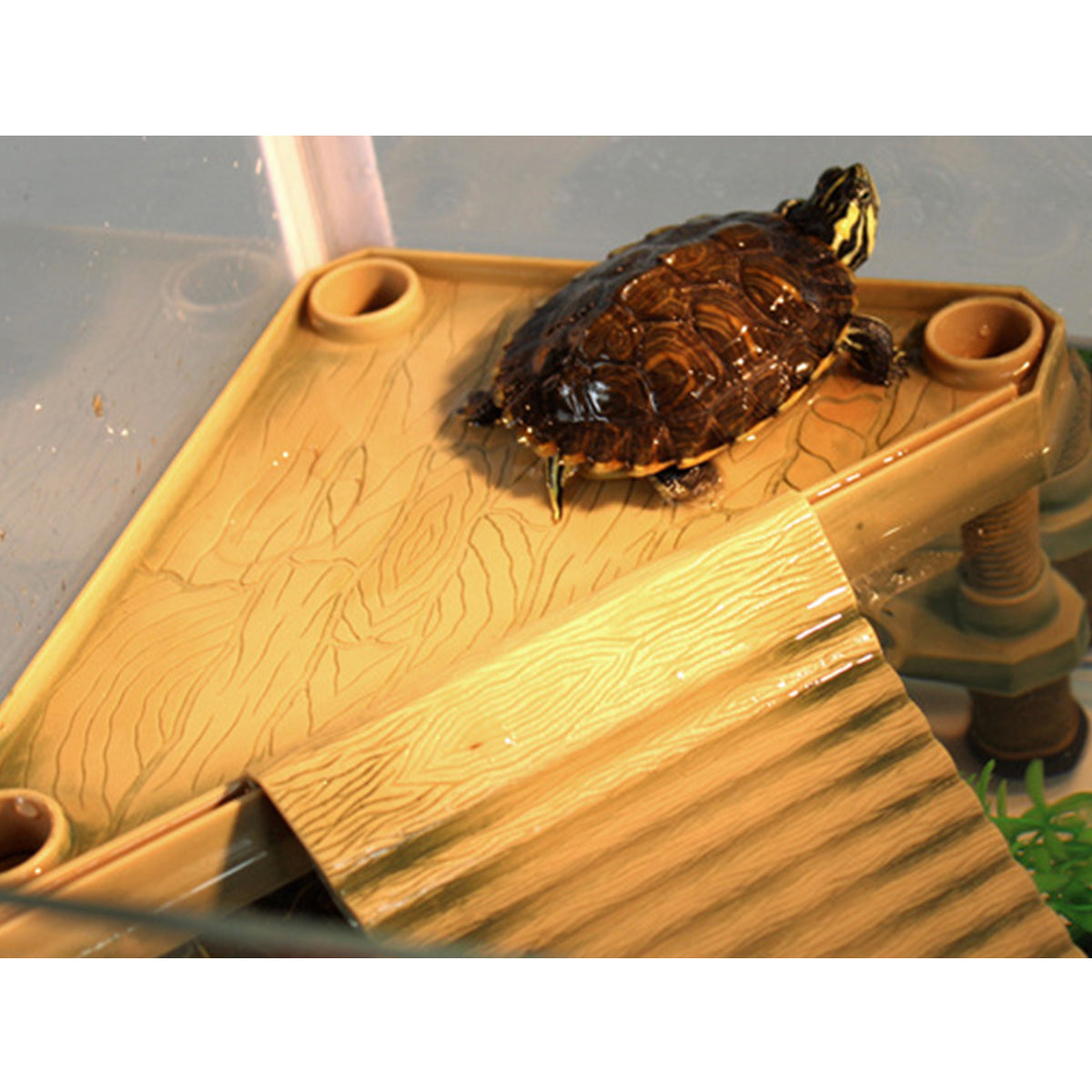Turtle Floating Platform Basking Ramp For Aquarium Tank