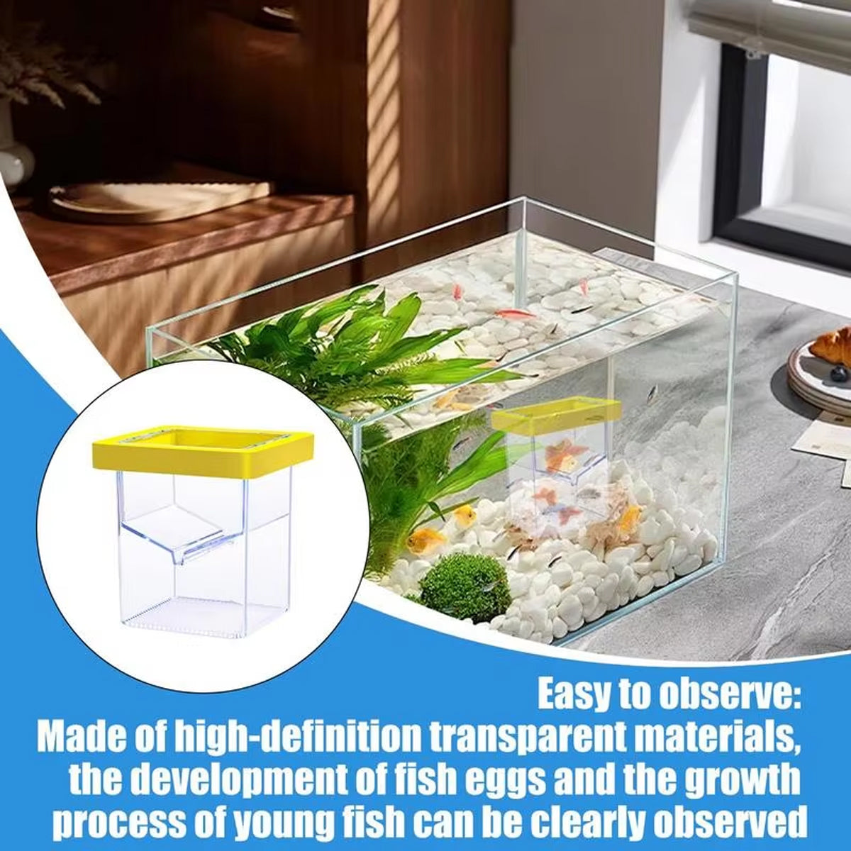 Floating Fish Isolation Box Breeding Tank Fry Incubator