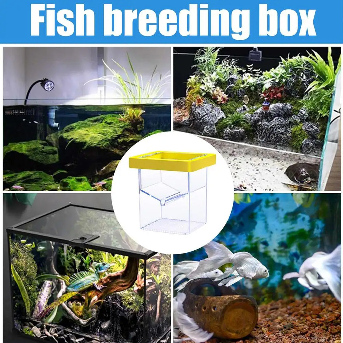 Floating Fish Isolation Box Breeding Tank Fry Incubator