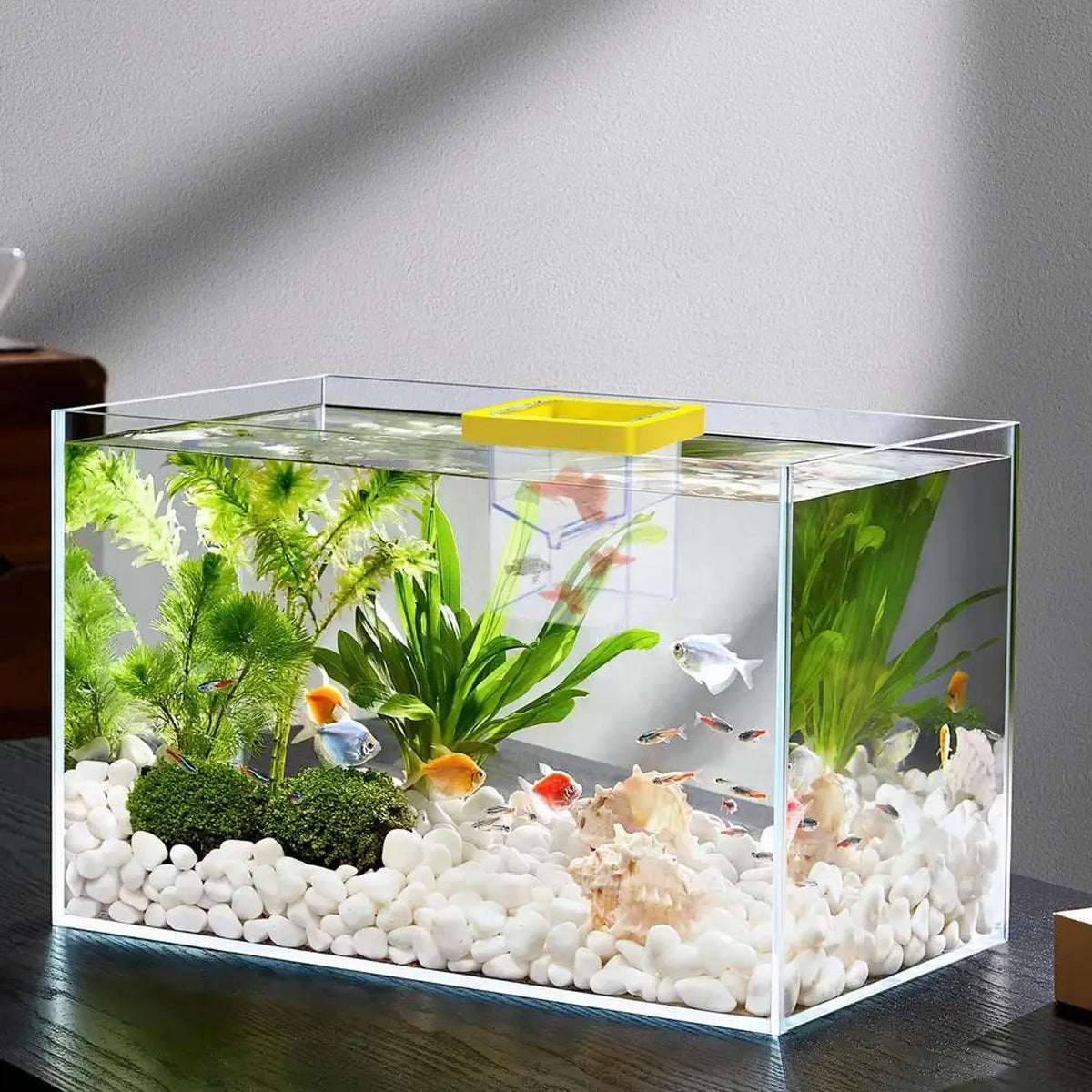 Floating Fish Isolation Box Breeding Tank Fry Incubator