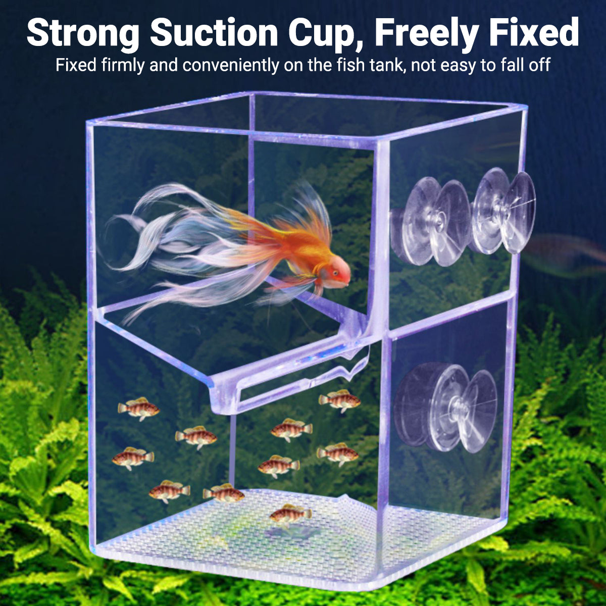Floating Fish Isolation Box Breeding Tank Fry Incubator