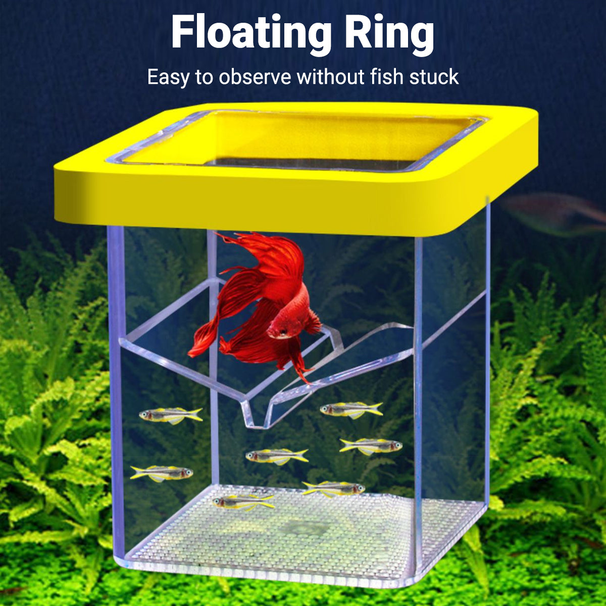 Floating Fish Isolation Box Breeding Tank Fry Incubator