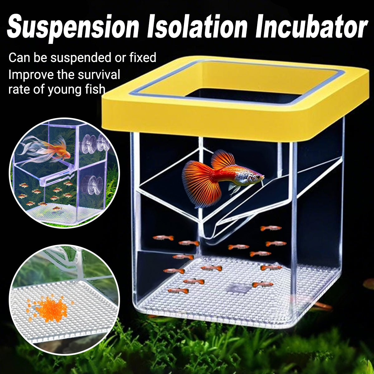 Floating Fish Isolation Box Breeding Tank Fry Incubator