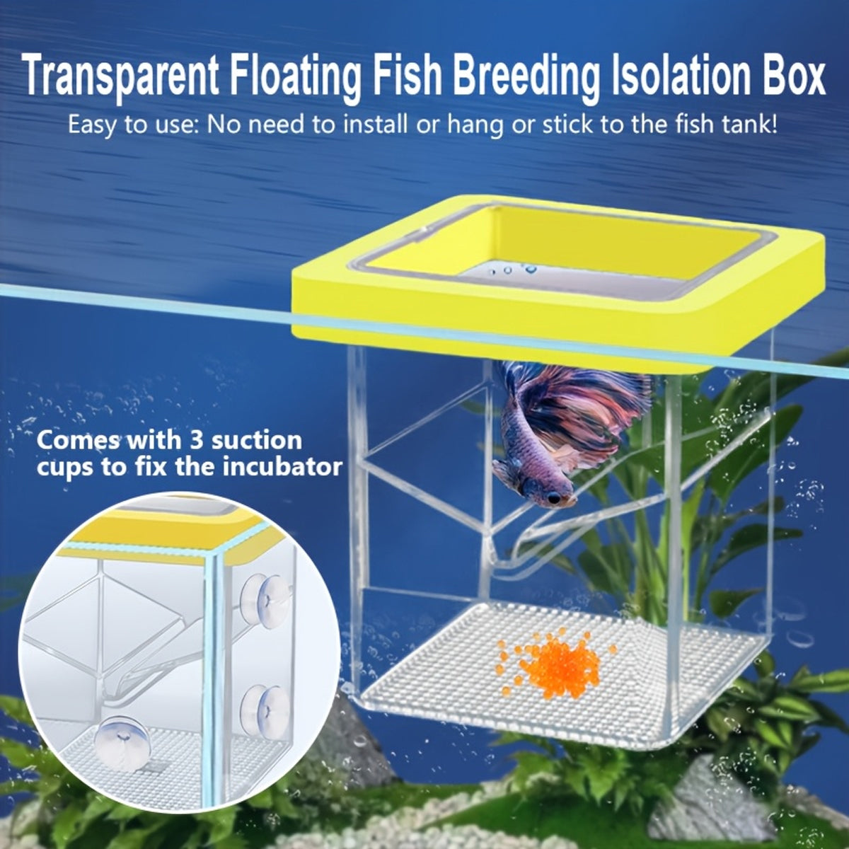 Floating Fish Isolation Box Breeding Tank Fry Incubator
