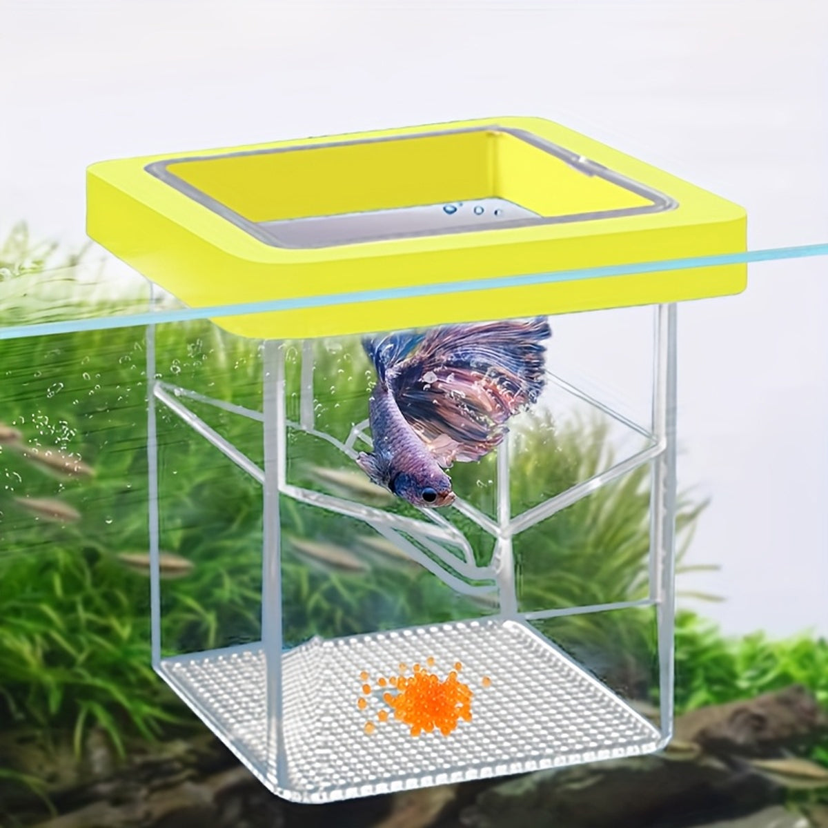 Floating Fish Isolation Box Breeding Tank Fry Incubator