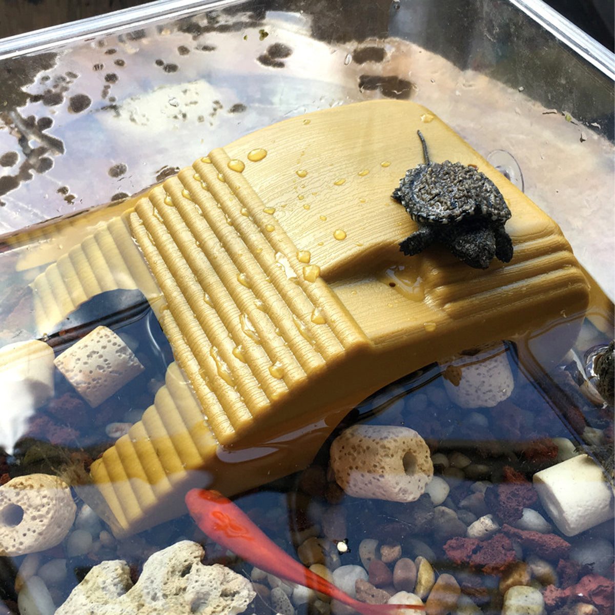 Turtle Basking Platform with Suction Cups Climbing Sunbathing Ramp