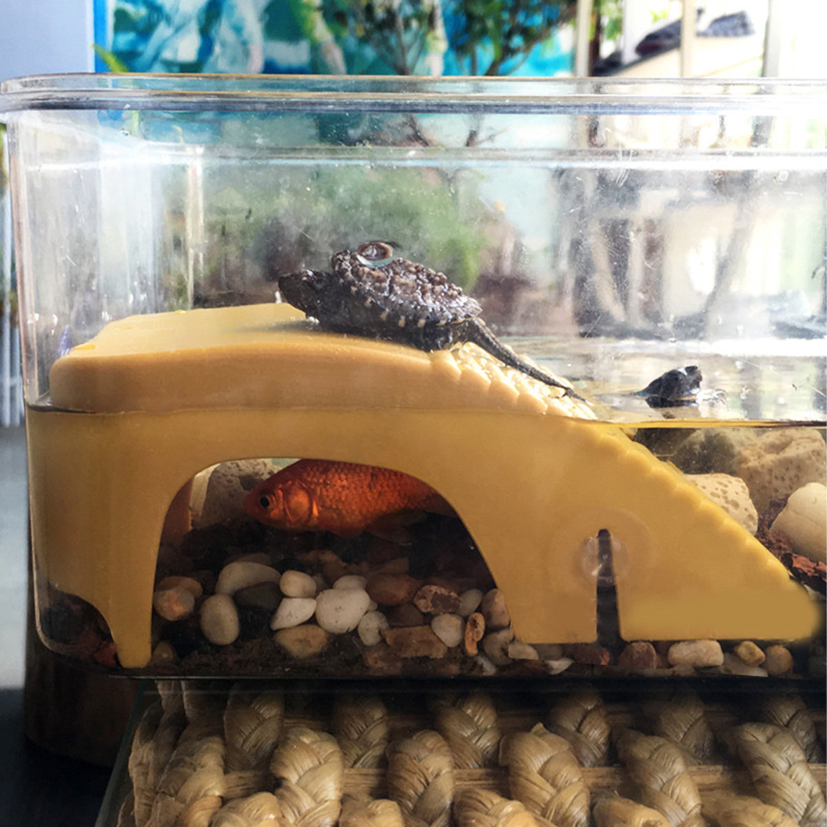 Turtle Basking Platform with Suction Cups Climbing Sunbathing Ramp