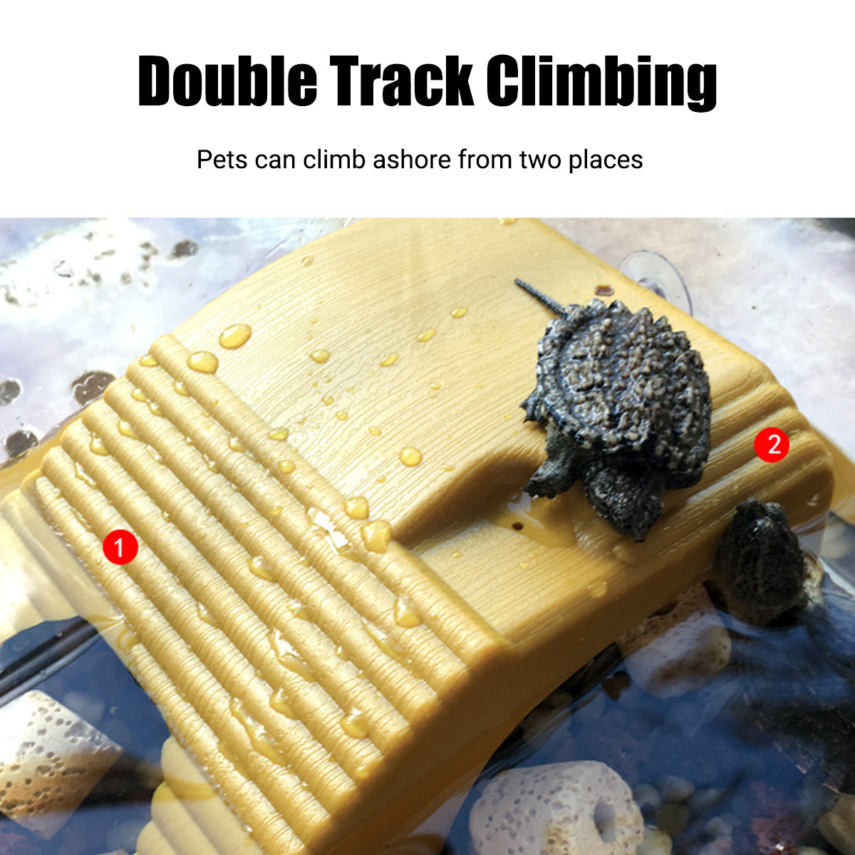 Turtle Basking Platform with Suction Cups Climbing Sunbathing Ramp