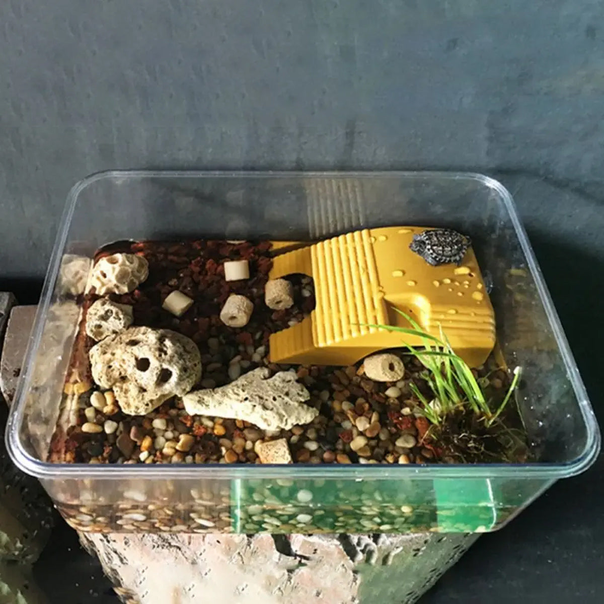 Turtle Basking Platform with Suction Cups Climbing Sunbathing Ramp