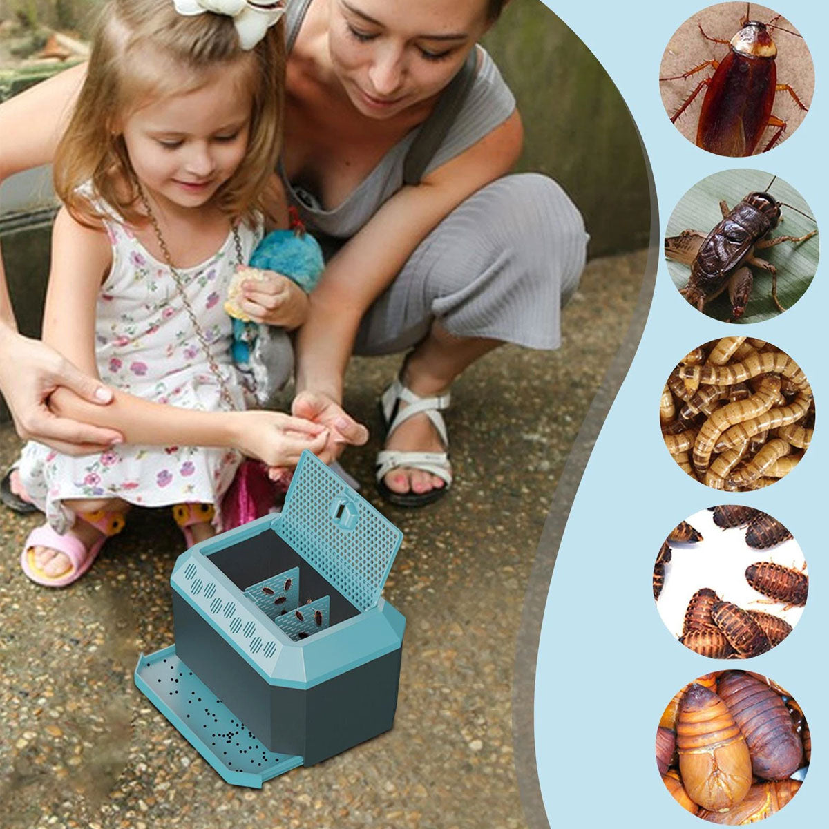 Insect Breeding Box Ventilated Container For Crickets Mealworms