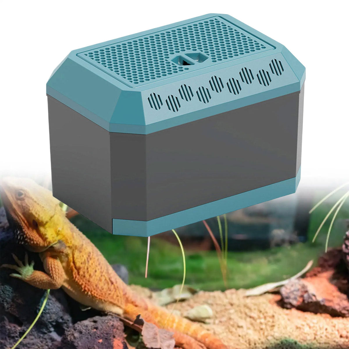 Insect Breeding Box Ventilated Container For Crickets Mealworms