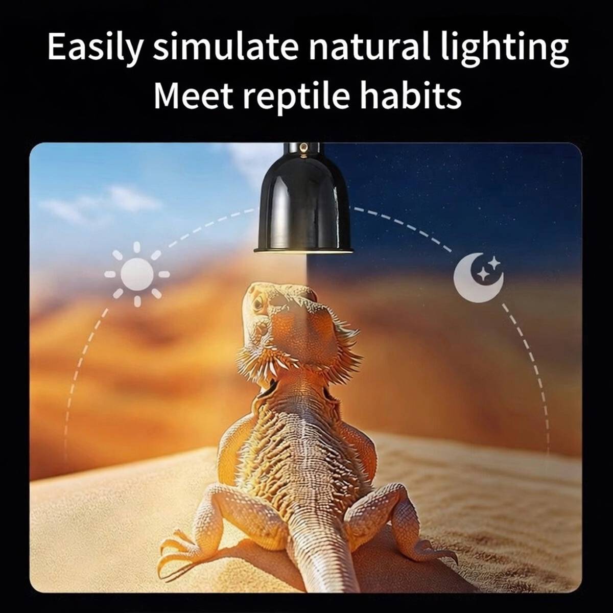Cleen reptile lamp shade with timer in A, B and C sizes – product view 3