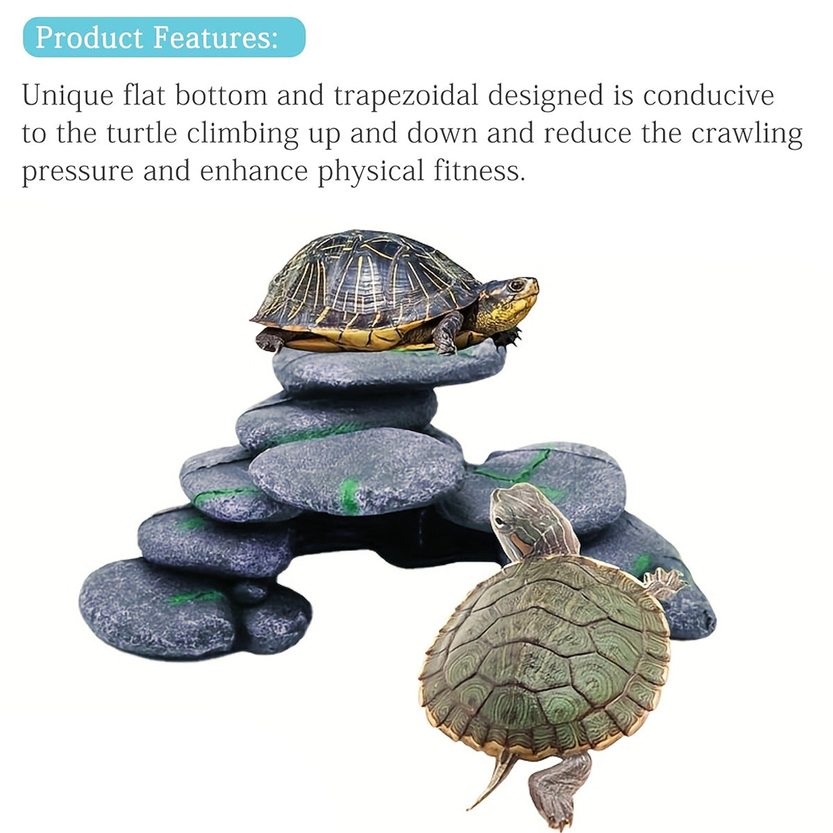 Resin Turtle Climbing Platform With Cave